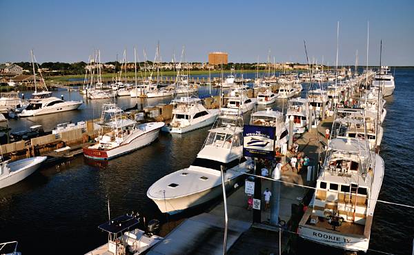 Designing Charleston City Marina in South Carolina, USA was an early example of ATMs working with nature policy. Photo: ATM