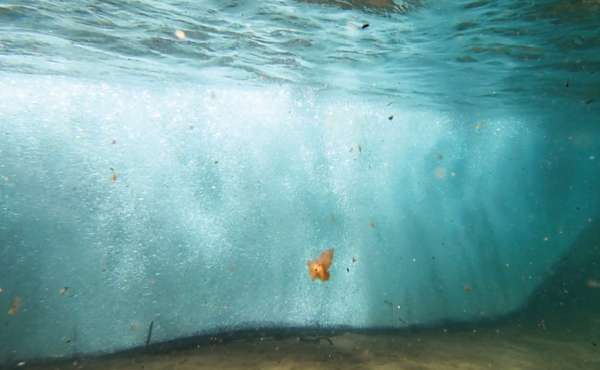 The Invisibubble curtain stops plastic waste and directs it to a collection point.