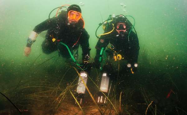 Underwater hydroseeding.