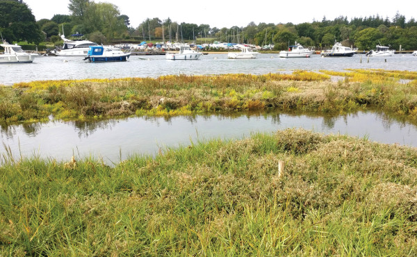 Salt marsh monitoring on the  Beaulieu River in Hampshire,  England protects the natural environment.