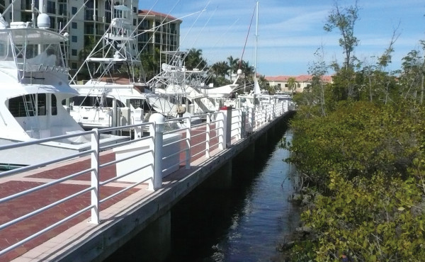 Maintaining a mangrove shoreline at the edge of a marina in Jupiter, Florida preserves the ecosystem and keeps the facility connected to its natural environment. Photo: E Biondi