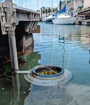 Plymouth Yacht Haven is the first marina in the group to have a Seabin debris collection device installed. It can hold up to 20kg of litter at a time.